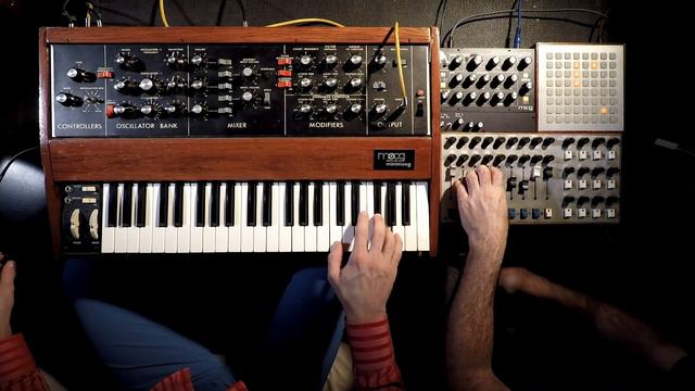 Skinnerbox - Sofa #7 (minimoog,  Minitaur, Ableton)