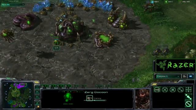 Starcraft 2 QXC vs Idra Game 1 Part 1 King of the Beta Tournament Semifinals in HD смотреть онлайн