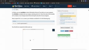 Урок №11 - Черепашьи гонки (Python Turtle)