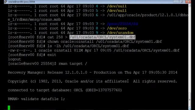 Oracle Backup & Recovery - Parte 05 - Quem Sabe Faz Ao Vivo смотреть онлайн