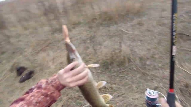 Осенняя рыбалка на хищника в Астрахани Судак Щука смотреть онлайн