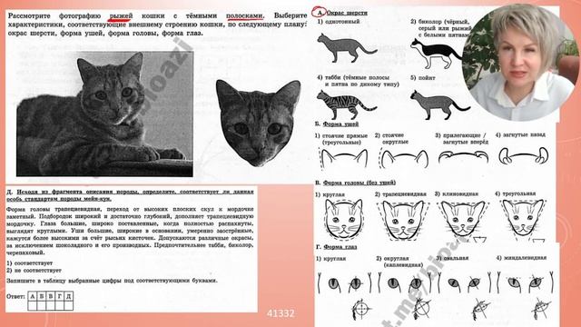 ОГЭ 2024 биология. Вариант №4 Сборник Рохлова. смотреть онлайн