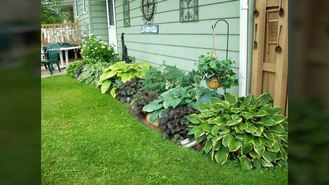 Красивое оформление клумб хостой смотреть онлайн