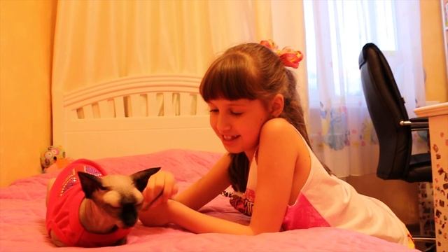 #Сфинкс кошка Сфинкс разговаривает #Кот кушает Одежда для кошки Life of #Pets Sphinx cat talking смотреть онлайн
