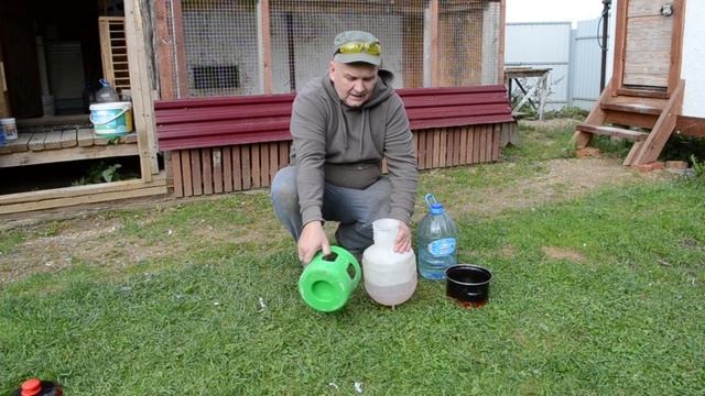 ОСЕННИЕ КОМПОТЫ ДЛЯ ГОЛУБЕЙ. Надоел хандрить, идём на поправку. смотреть онлайн