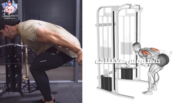 7 تمارين الدراع كاملة (جدول تدريبي) كمال الاجسام - Arm Workout смотреть онлайн