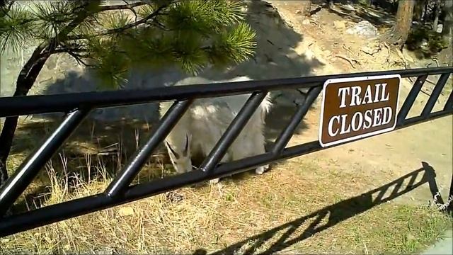 Mount Rushmore National Memorial & Custer State Park смотреть онлайн