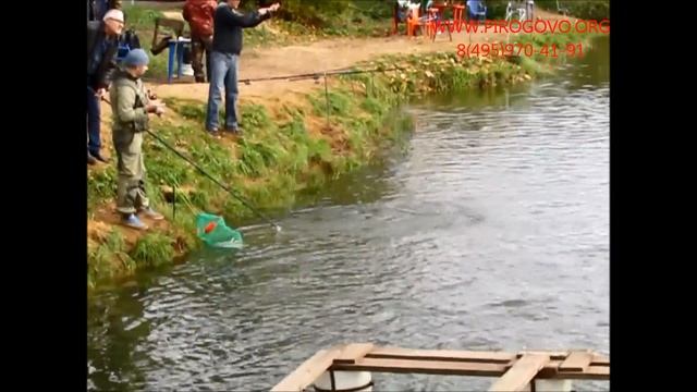 рыбалка на квадрате смотреть онлайн