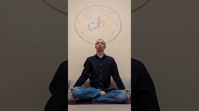 Книга «Последние Люди»: Человечество Скоро Вымрет? | The Last Humans [English Subtitles] смотреть онлайн