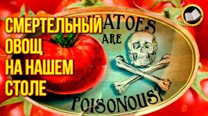 Смертельный овощ на нашем столе. Ядовитый томат. Вред помидора. Здоровье от природы