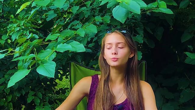 Как подружить взрослого кота/кошку с котёнком! Что делать? смотреть онлайн