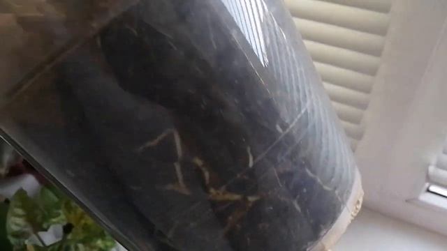 КОМНАТНЫЕ ЦВЕТЫ в моей спальне. Купила новое растение. Обзор. смотреть онлайн