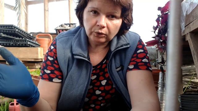 И снова Юг и Север! Как жить!?...😫😪😥 смотреть онлайн