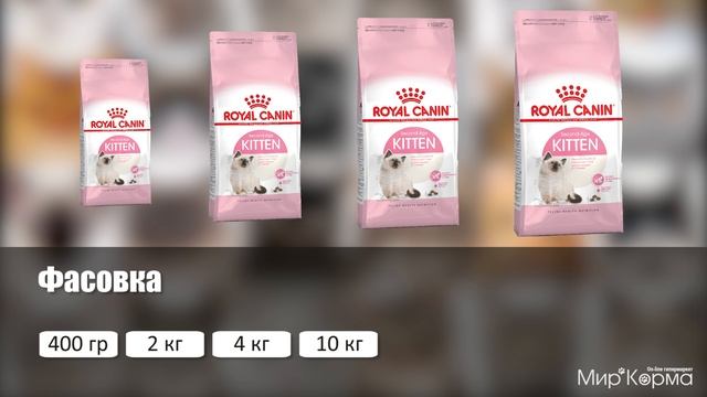 Обзор корма Royal Canin Kitten смотреть онлайн