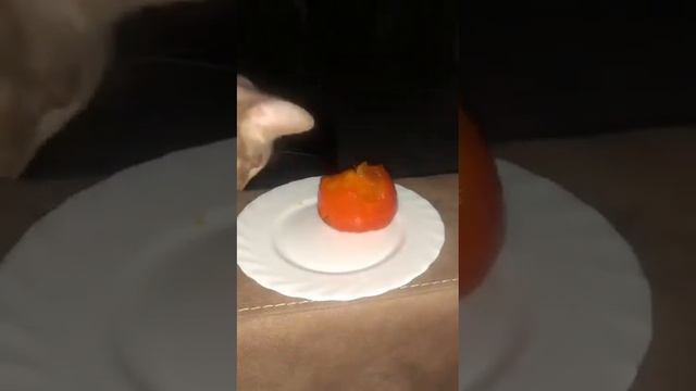 Очень вкусная хурма смотреть онлайн