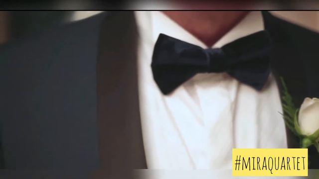 Shallow (from A Star Is Born) cover/ Музыканты на свадьбу Киев/ Stirng quartet Mira/ квартет Mira смотреть онлайн