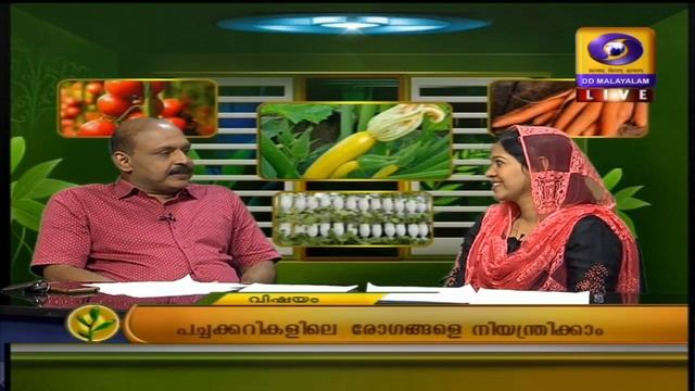 KRISHIDARSHAN 18-10-2019 പച്ചക്കറികളിലെ രോഗങ്ങളെ നിയന്ത്രിക്കാം ഡോ: സജീന അസി. പ്രൊഫ പ്ലാന്റ് പതോളജ смотреть онлайн