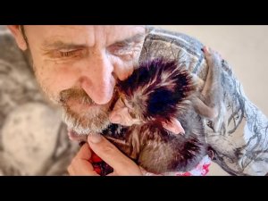 ОЧЕНЬ СТРАННО! Степашка уже  СУТКИ не отпускает меня ни на шаг даже ночью!