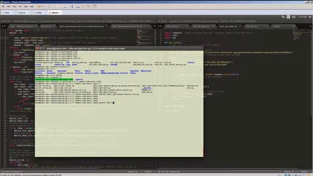 Cisco APIC-EM / Python Napalm смотреть онлайн