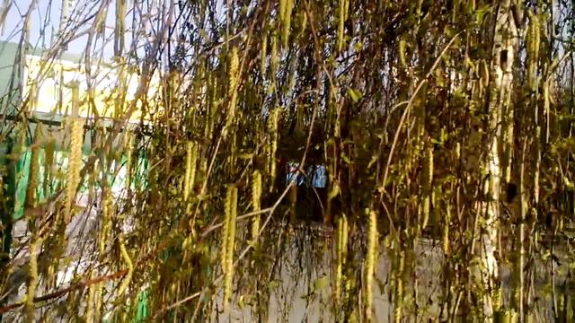 Ветерок смотреть онлайн