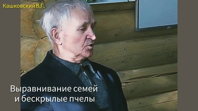 Пчелы без крыльев. Когда и зачем выравнивать пчелосемьи по силе. смотреть онлайн