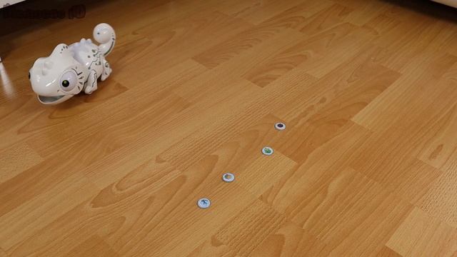 RC Chameleon - Hungry Robotic Chameleon test смотреть онлайн