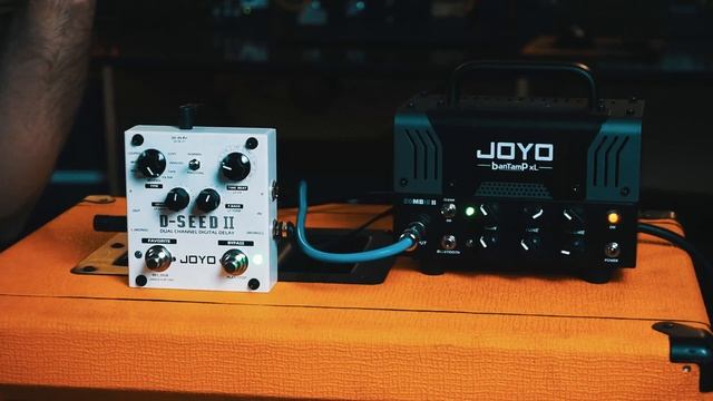 Joyo D-Seed II Dual Channel Digital Delay Demo/Overview