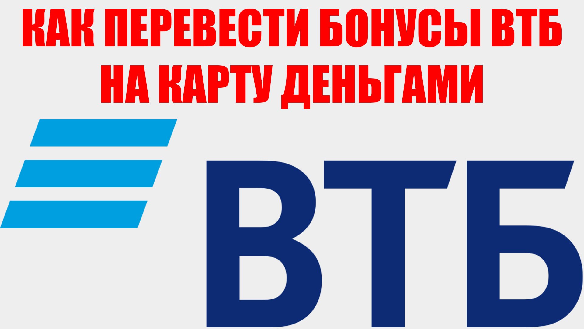 Всезнающий Енот