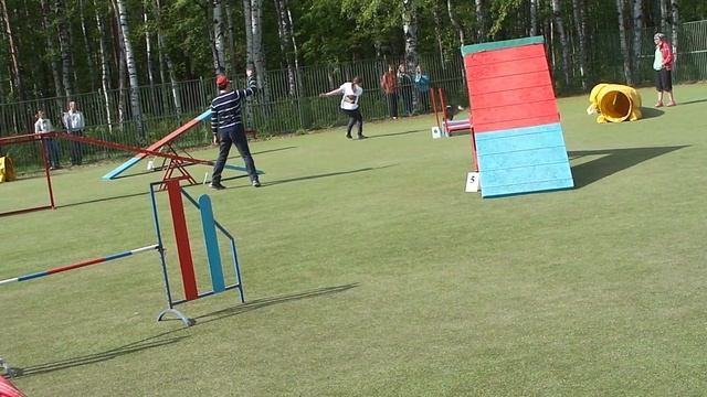 Чемпионат СЗФО, аджилити-финал, г. Санкт-Петербург, 14.05.2016 г. смотреть онлайн