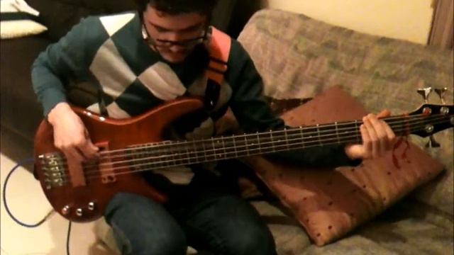 Bleeding From Within - The Healing Bass Cover.wmv смотреть онлайн