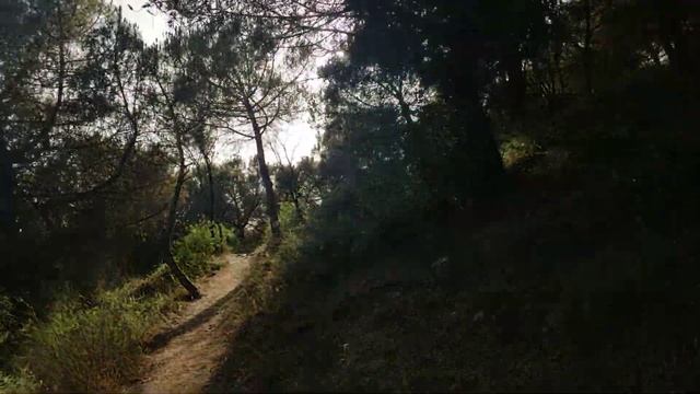 Collserola | Spring 2022 02 смотреть онлайн