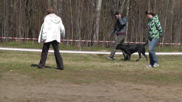Чемпионат Тверской области (CACT) 2014 г. по ОКД и ЗКС. смотреть онлайн