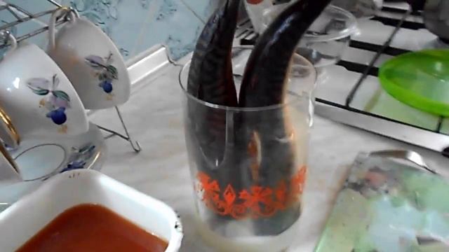 Влоги с Путешествиями