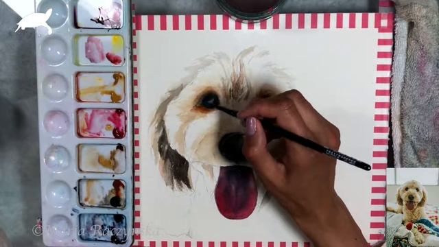 Doodle Dog Painting in Watercolor Fur and Hair смотреть онлайн