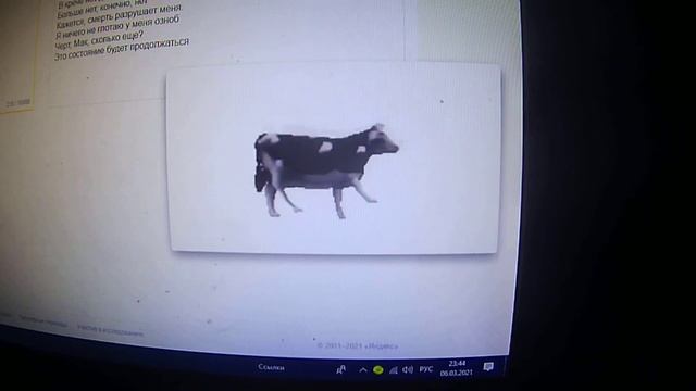 Яндекс переводчик озвучивает полную песню польская корова! смотреть онлайн