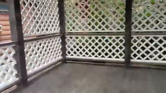 БЕСЕДКА ТИС