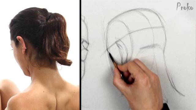 Intuitive Portrait Sketching with the Loomis Method - Part 3 смотреть онлайн