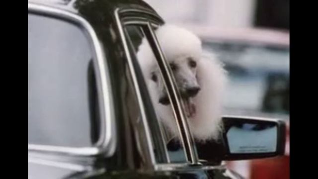 5 Комедийных боевиков смотреть онлайн