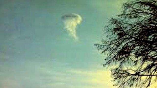SCP-312 Atmospheric Jellyfish | Object class euclid смотреть онлайн