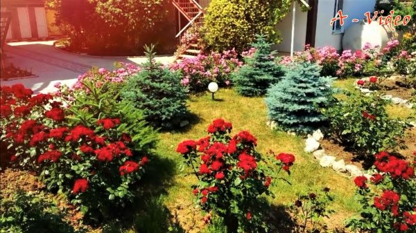 ?Прекрасные композиции ландшафтного дизайна / Examples of landscape design / A - Video