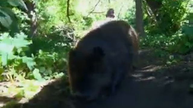 Дело Батагами