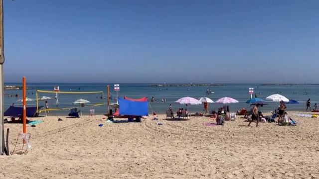 Случай в Израиле с Маэстро..., Сл. муз. и исп. Самуил Фрумович смотреть онлайн