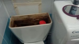 Течь между бочком и унитазом.