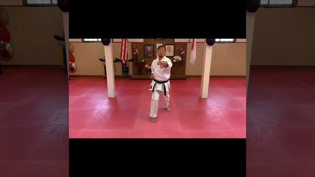 ACBK Basic Karate Video 4 Punching Seisan смотреть онлайн