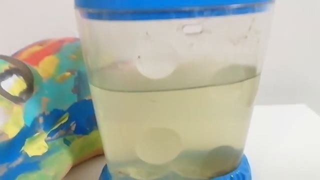 показываю 28-29 день своих морских животных смотреть онлайн