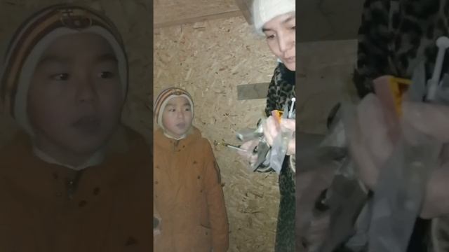 Заболели Индюки делаем укол индюкам. Как делать укол индюкам. Как лечить индюков от простуды смотреть онлайн