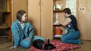 МЫ ЗАМАТЫВАЕМ УШИ ДОБЕРМАНУ | ХОЧУ ДОБЕРМАНА