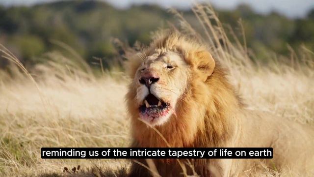 Roar with Knowledge: Exploring Lion Facts and Behavior | Lion Facts смотреть онлайн