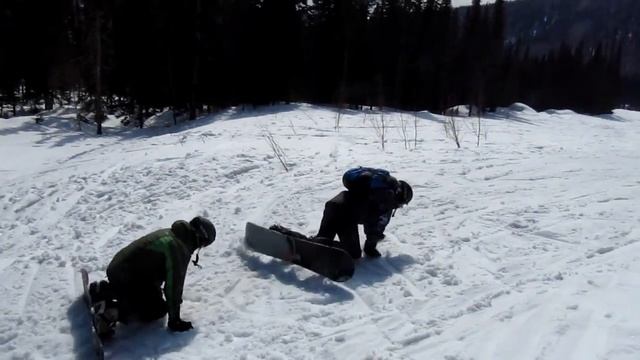 Досконоги и среда их обитания :Р смотреть онлайн