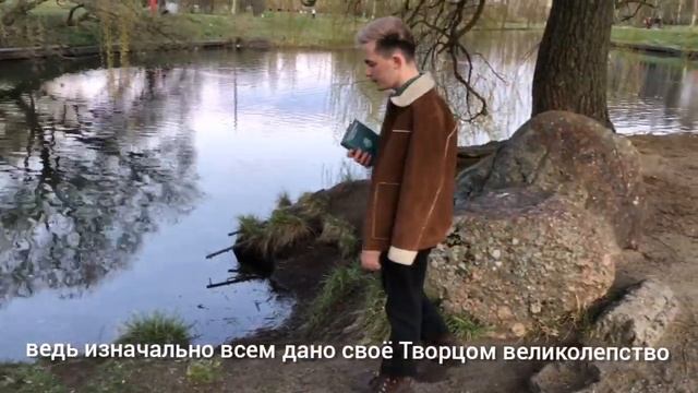 Красота. смотреть онлайн